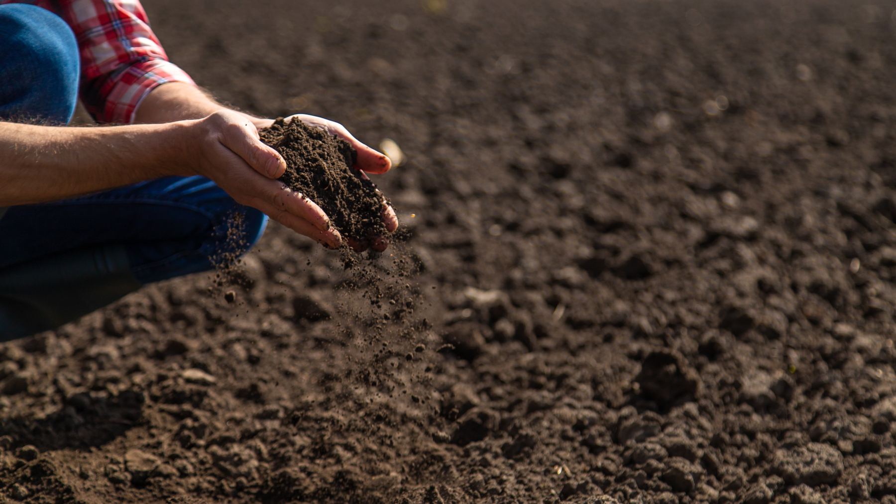 Healthy Soil Growth Guide