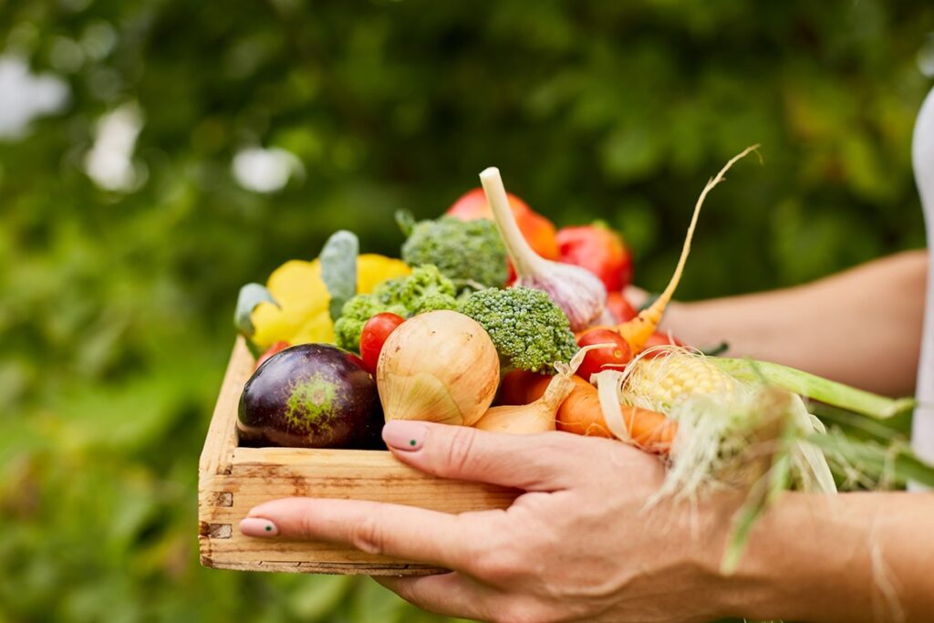 Impact of Organic Food Choices Today