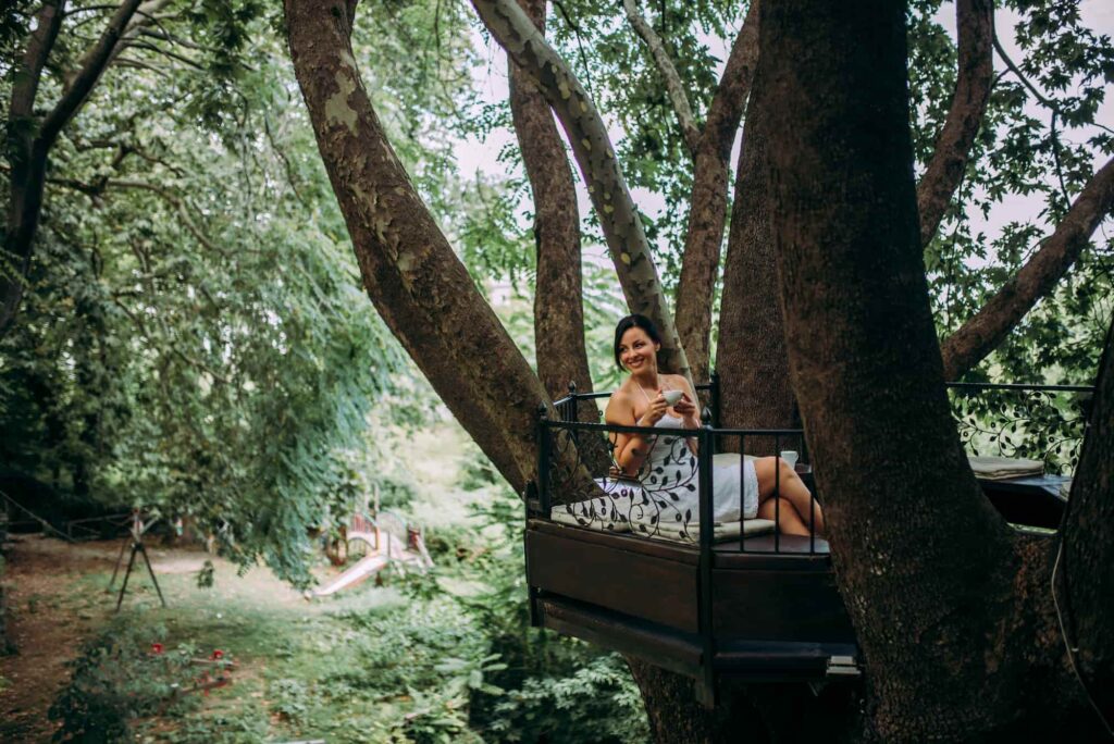 Discover the Magic of Treehouse Stays