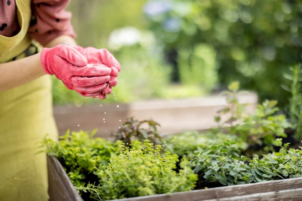 Choosing The Right Plants For Your Garden