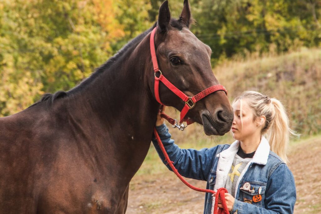 Bloodlines in Modern Horse Breeding