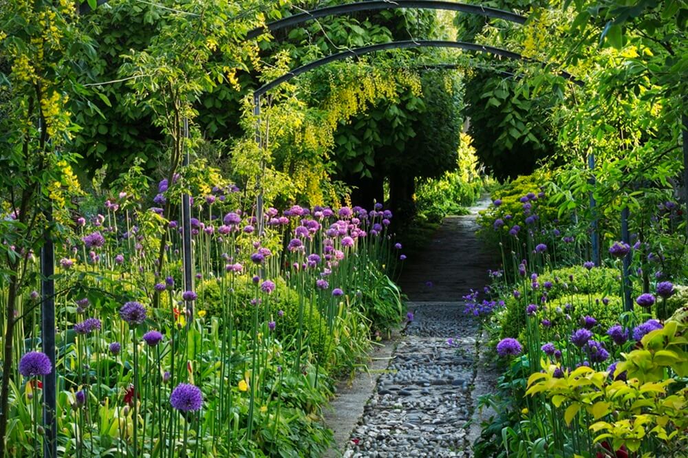 Turn Empty Spaces Into Gardens