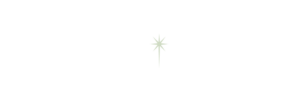 lightlogo