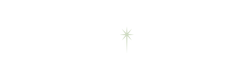 lightlogo