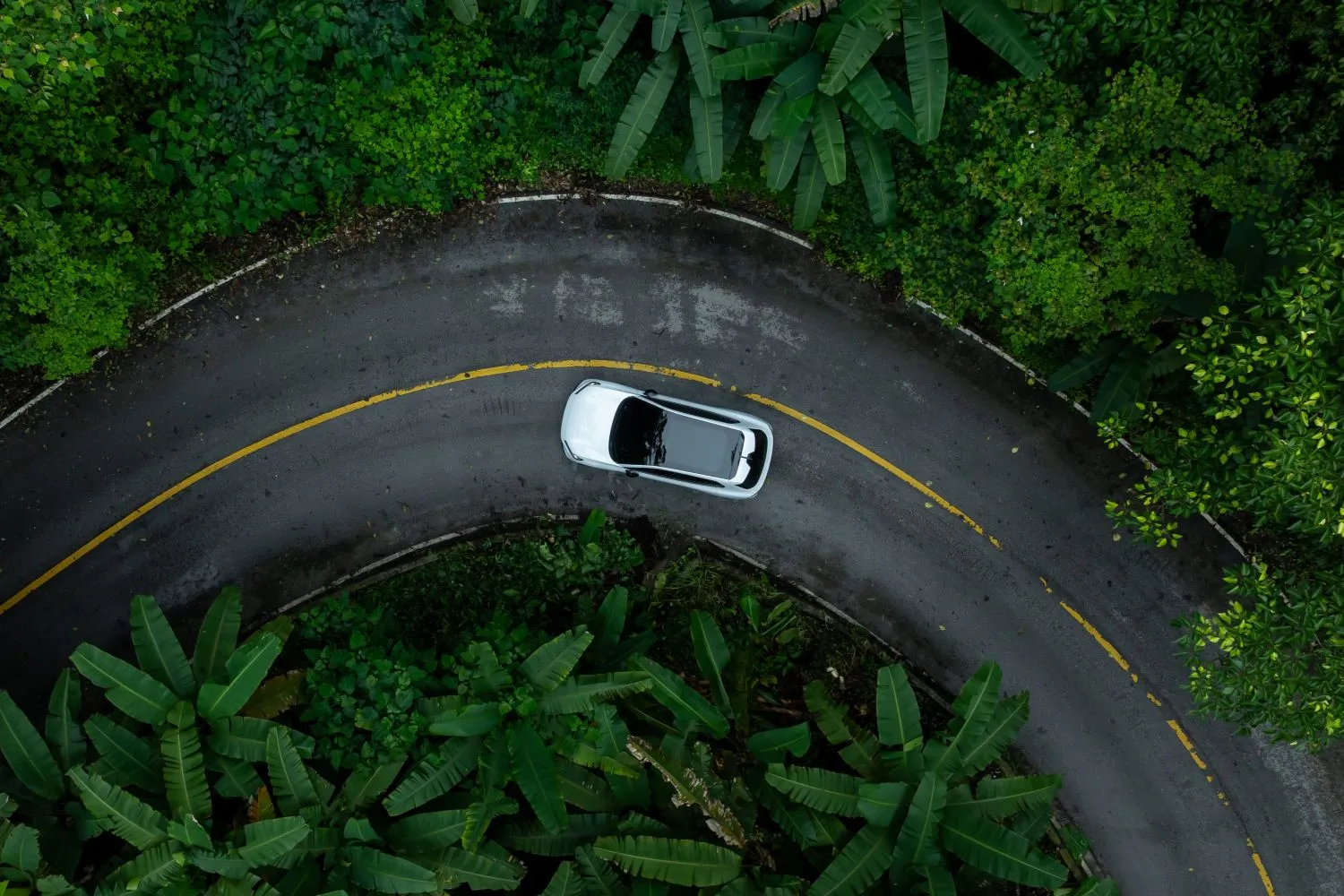 How Clean Energy Electric Vehicles Preserve Fragile Wilderness Mountain Roads