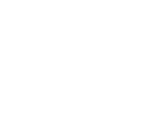 Logo White