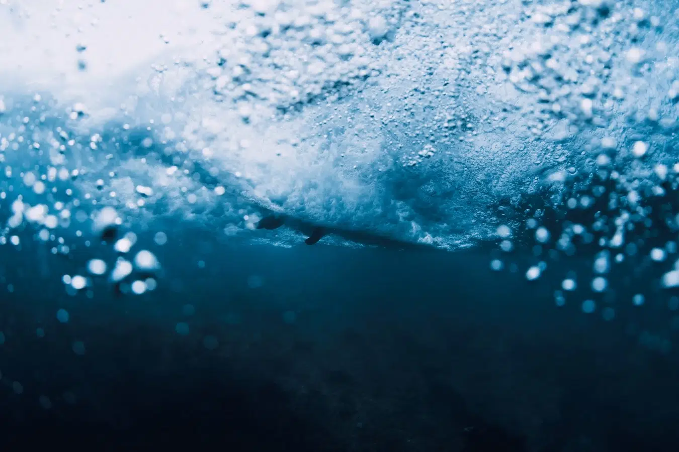Overcoming Water Anxiety as an Adult Beginner Swimmer