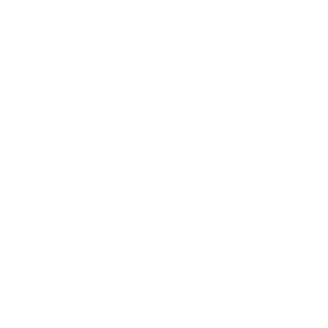 LOGOIPSUM 1