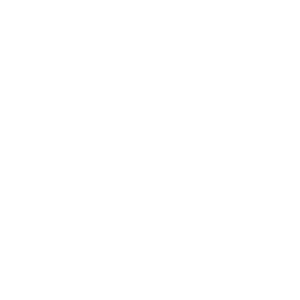 LOGOIPSUM 2