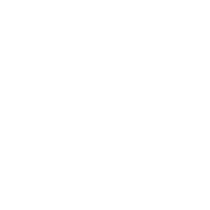 LOGOIPSUM 3
