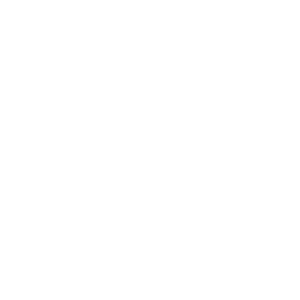 LOGOIPSUM 4