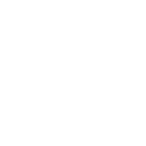 LOGOIPSUM 5