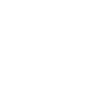 LOGOIPSUM 6