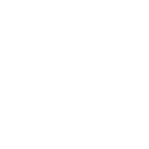 LOGOIPSUM 7
