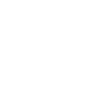 LOGOIPSUM 8