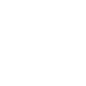 LOGOIPSUM 9
