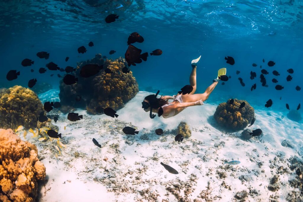 Tips for Planning Perfect Snorkeling Adventures