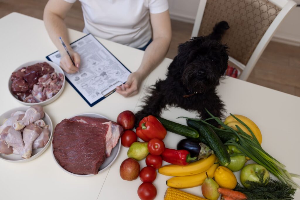 Choosing the Right Diet Plan for Your Pet’s Age