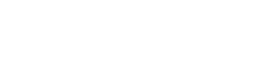 Palmea Logo White