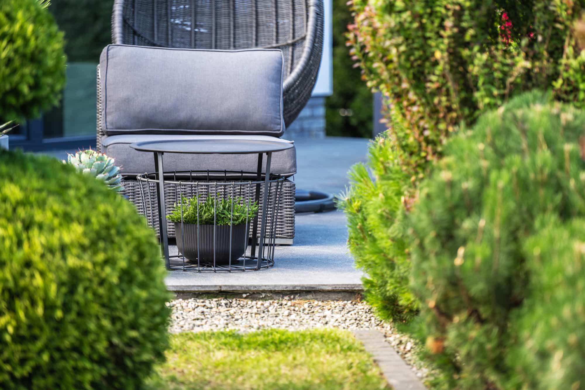 lawn-plants-decorate-a-backyard-sitting-area-2026-09-24-08-06-09-utc