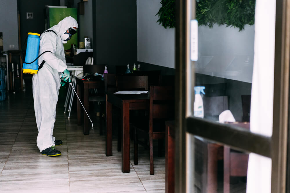 The Importance of Routine Pest Control for Restaurants & Cafés