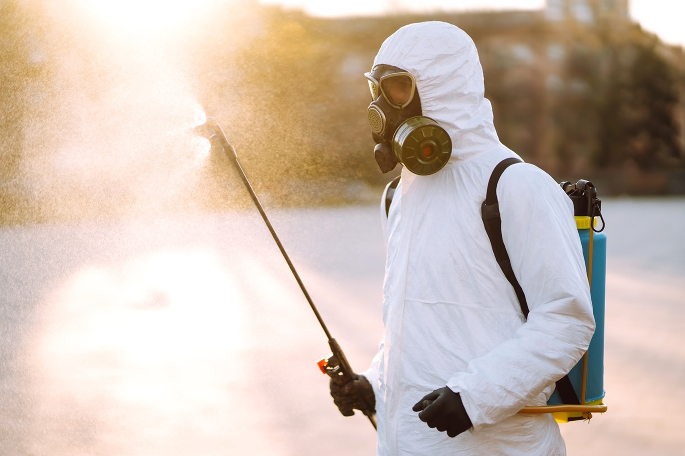 Benefits of Professional Pest Control Services