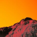 wolfgang-hasselmann-vBfWlCCa74k-unsplash