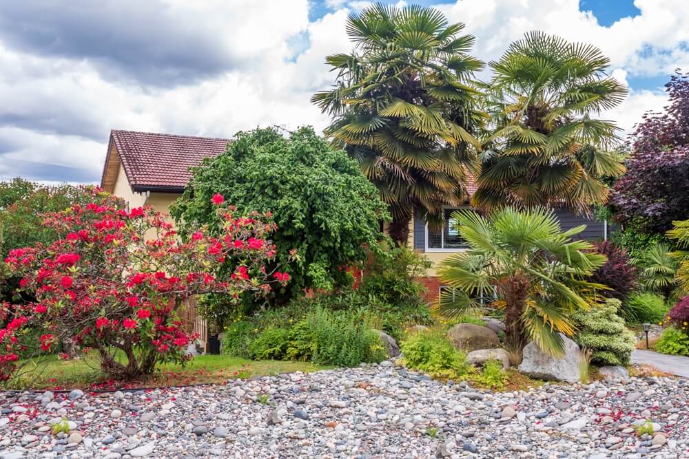 fragment-of-a-house-with-stones-and-outdoor-landsc-2026-01-11-10-24-53-utc