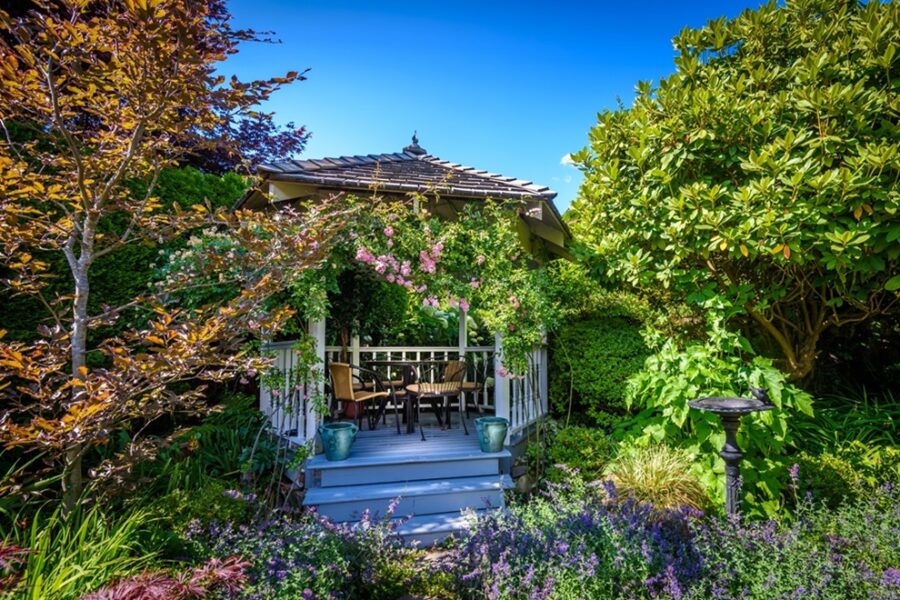 fragment-of-a-house-yard-with-outdoor-landscape-2026-01-11-10-23-59-utc