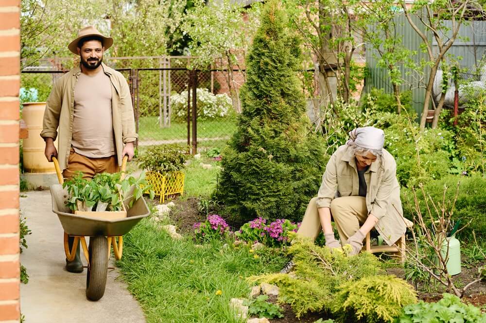 Transforming Small Spaces Into Greenery