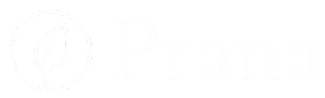 Logo White