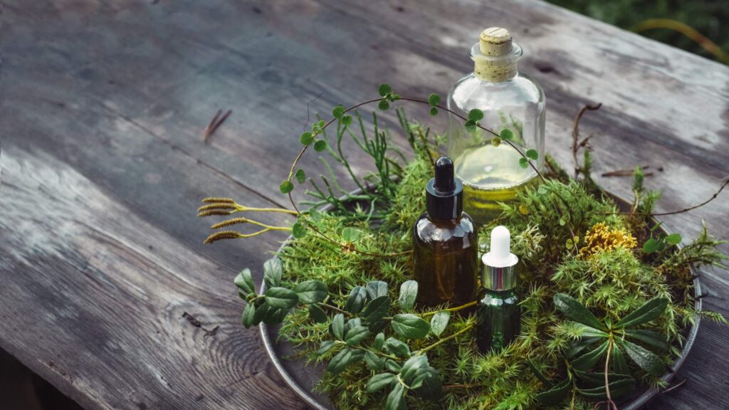 Herbal Remedies for Body Detoxification