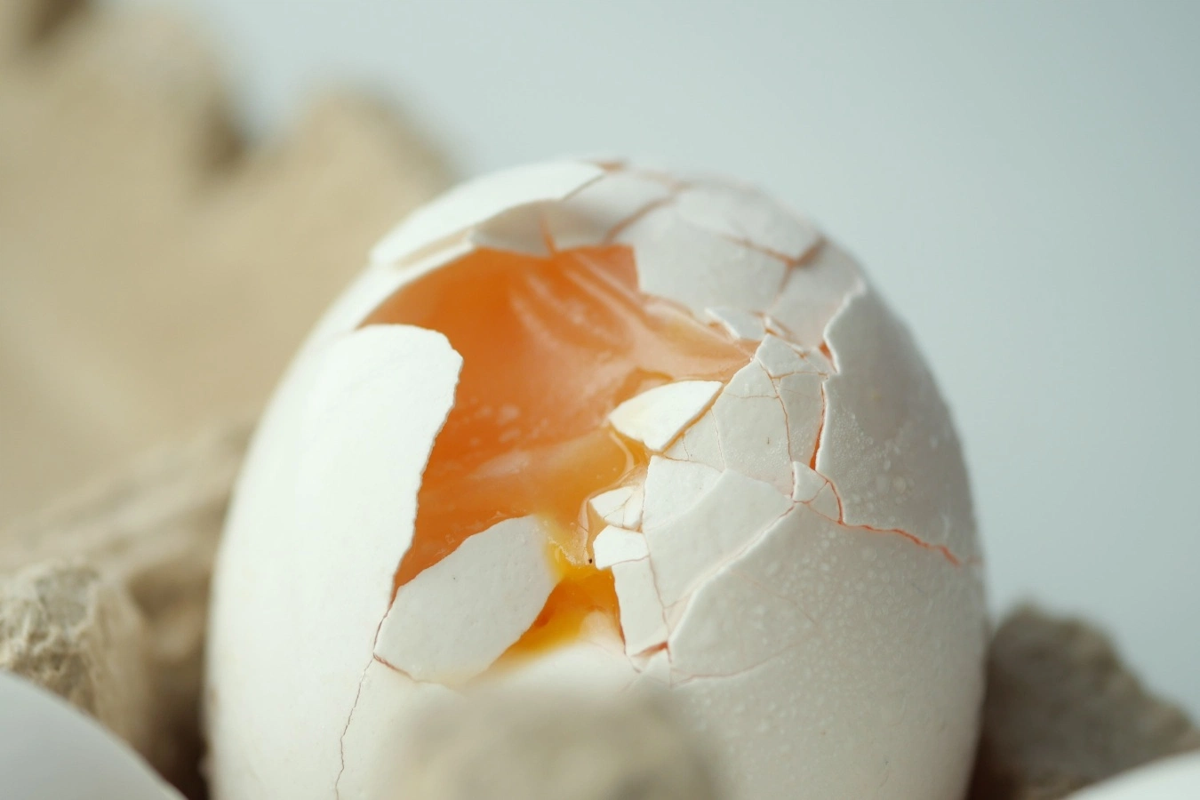 The Science of Yolk Density and Pasture-Raised Nutrition