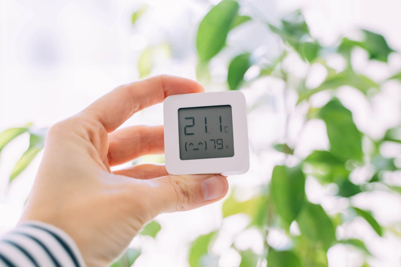 Optimizing Flock Yields with Automated Climate Control
