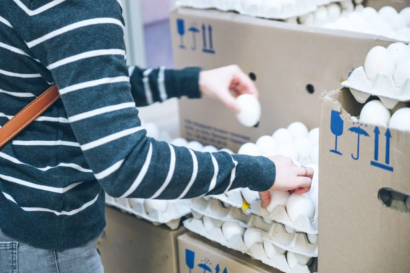 Cold-Chain Logistics: How We Guarantee Freshness