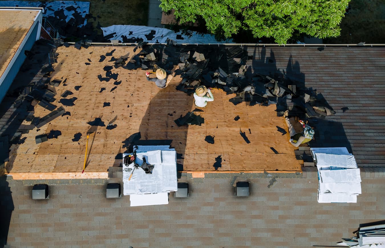 Climate Effects on Roofs Overview