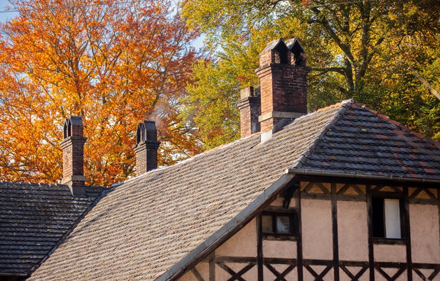 A Beginner’s Guide to Roof Replacement Options”