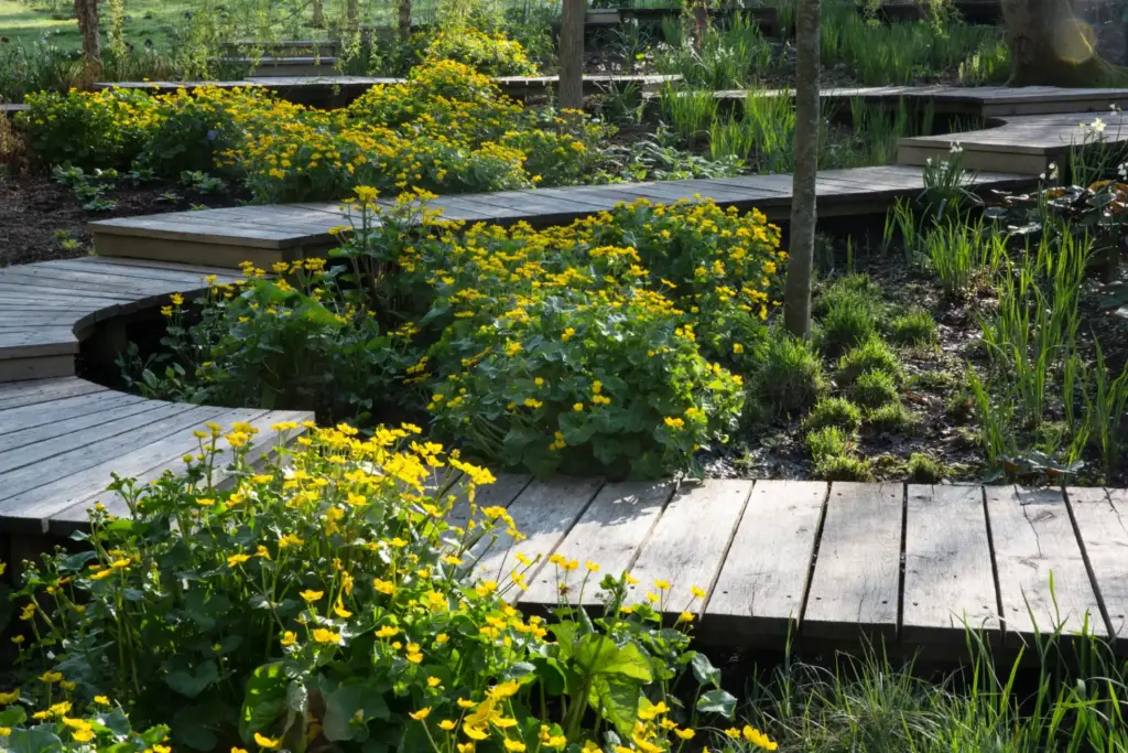 Sustainable Outdoor Living