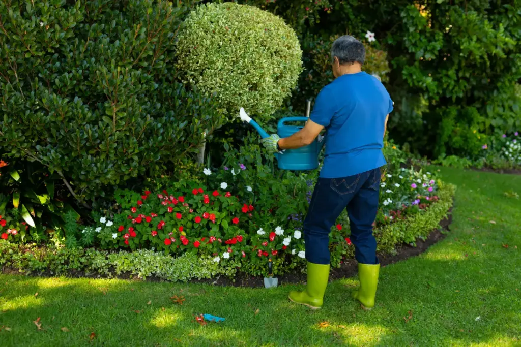 Seasonal Outdoor Care