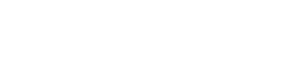light logo
