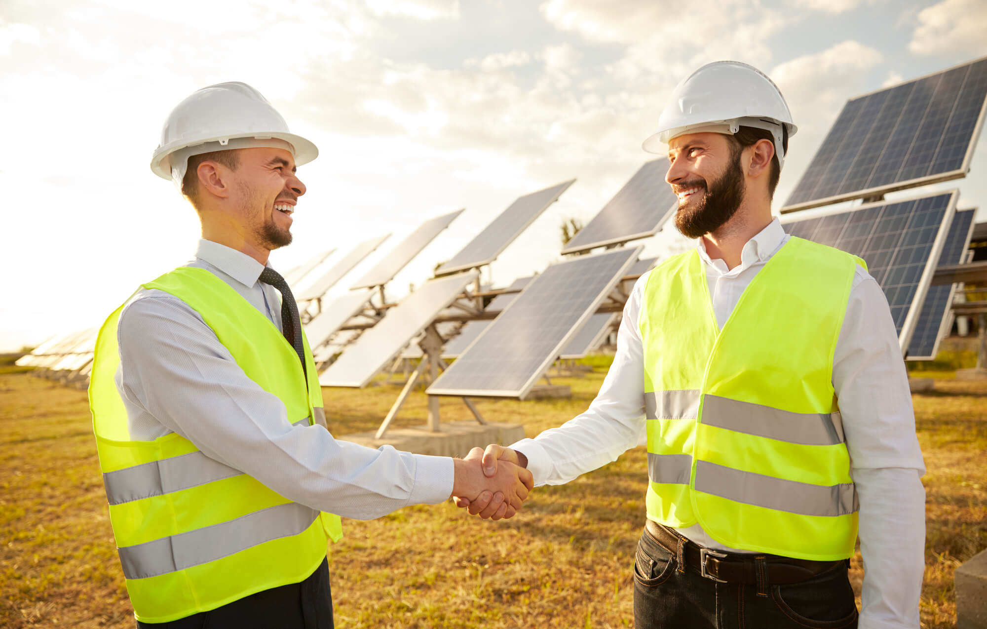 business-partners-shaking-hands-in-field-with-sola-2026-01-07-01-43-07-utc
